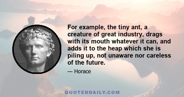 For example, the tiny ant, a creature of great industry, drags with its mouth whatever it can, and adds it to the heap which she is piling up, not unaware nor careless of the future.