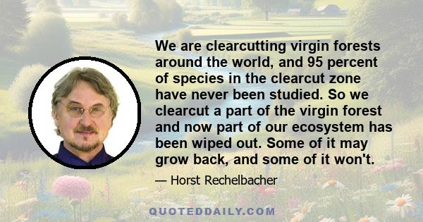 We are clearcutting virgin forests around the world, and 95 percent of species in the clearcut zone have never been studied. So we clearcut a part of the virgin forest and now part of our ecosystem has been wiped out.