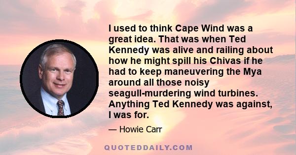 I used to think Cape Wind was a great idea. That was when Ted Kennedy was alive and railing about how he might spill his Chivas if he had to keep maneuvering the Mya around all those noisy seagull-murdering wind