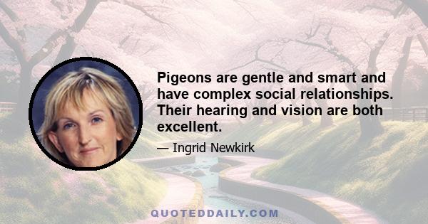 Pigeons are gentle and smart and have complex social relationships. Their hearing and vision are both excellent.