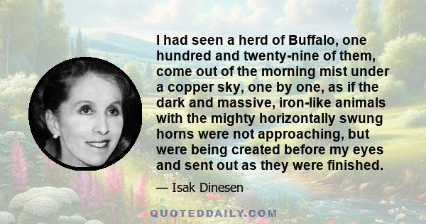 I had seen a herd of Buffalo, one hundred and twenty-nine of them, come out of the morning mist under a copper sky, one by one, as if the dark and massive, iron-like animals with the mighty horizontally swung horns were 