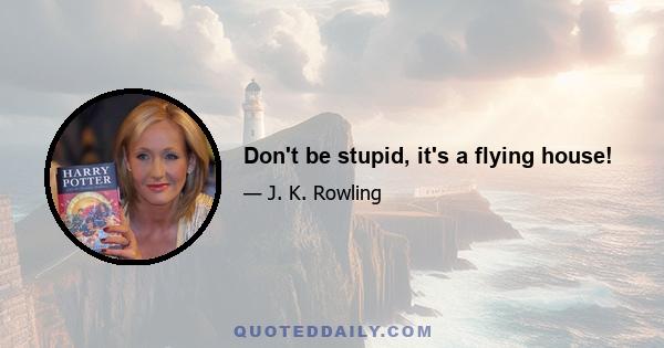 Don't be stupid, it's a flying house!