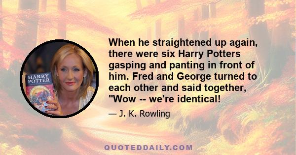 When he straightened up again, there were six Harry Potters gasping and panting in front of him. Fred and George turned to each other and said together, Wow -- we're identical!