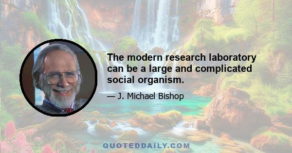 The modern research laboratory can be a large and complicated social organism.