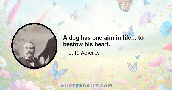 A dog has one aim in life... to bestow his heart.