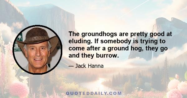 The groundhogs are pretty good at eluding. If somebody is trying to come after a ground hog, they go and they burrow.