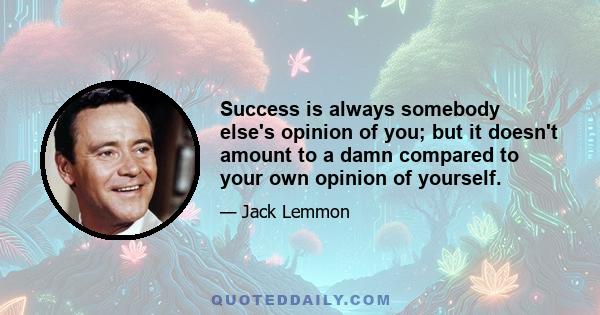 Success is always somebody else's opinion of you; but it doesn't amount to a damn compared to your own opinion of yourself.