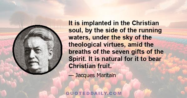 It is implanted in the Christian soul, by the side of the running waters, under the sky of the theological virtues, amid the breaths of the seven gifts of the Spirit. It is natural for it to bear Christian fruit.