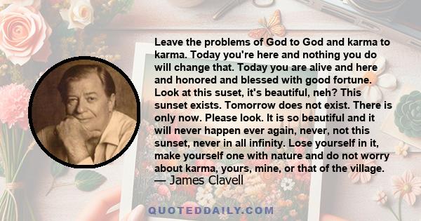 Leave the problems of God to God and karma to karma. Today you're here and nothing you do will change that. Today you are alive and here and honored and blessed with good fortune. Look at this suset, it's beautiful,