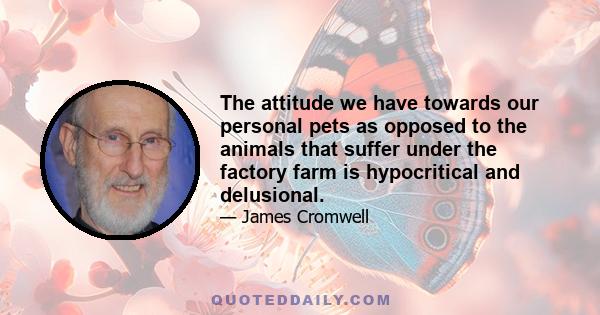 The attitude we have towards our personal pets as opposed to the animals that suffer under the factory farm is hypocritical and delusional.