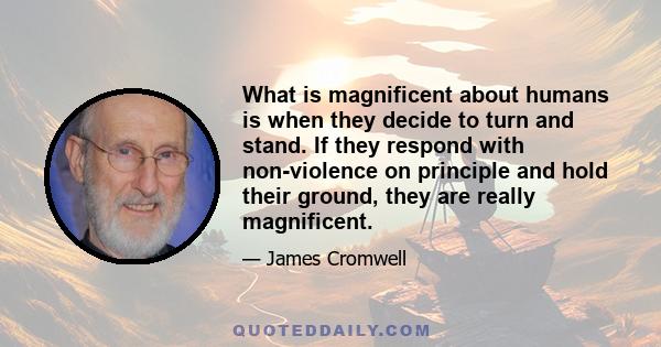 What is magnificent about humans is when they decide to turn and stand. If they respond with non-violence on principle and hold their ground, they are really magnificent.