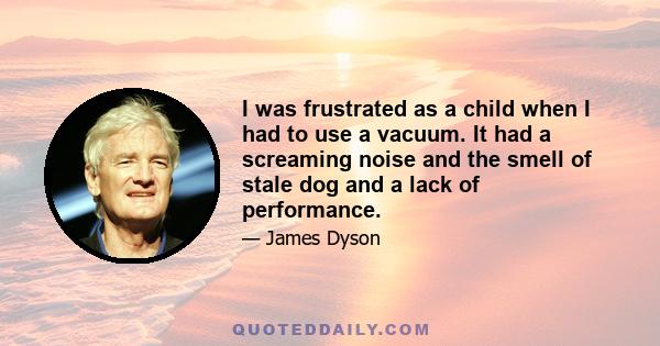 I was frustrated as a child when I had to use a vacuum. It had a screaming noise and the smell of stale dog and a lack of performance.