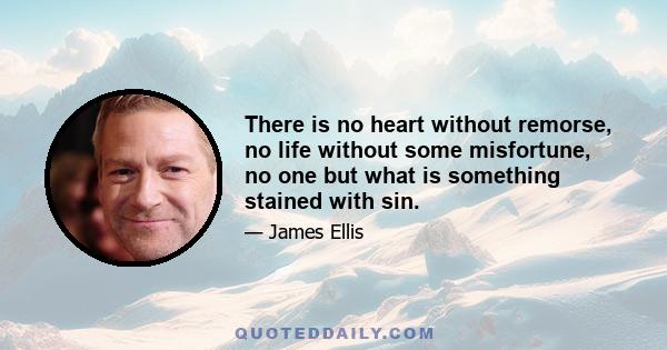 There is no heart without remorse, no life without some misfortune, no one but what is something stained with sin.