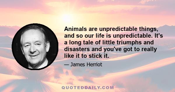 Animals are unpredictable things, and so our life is unpredictable. It's a long tale of little triumphs and disasters and you've got to really like it to stick it.