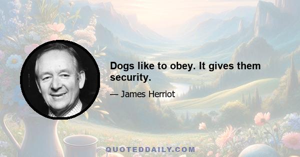 Dogs like to obey. It gives them security.