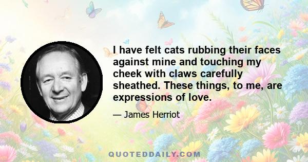 I have felt cats rubbing their faces against mine and touching my cheek with claws carefully sheathed. These things, to me, are expressions of love.