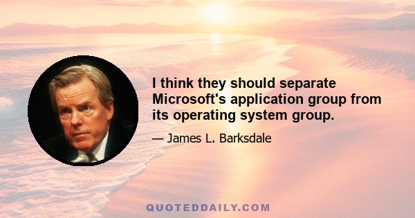 I think they should separate Microsoft's application group from its operating system group.