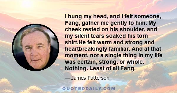 I hung my head, and I felt someone, Fang, gather me gently to him. My cheek rested on his shoulder, and my silent tears soaked his torn shirt.He felt warm and strong and heartbreakingly familiar. And at that moment, not 