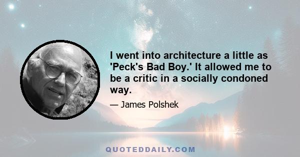 I went into architecture a little as 'Peck's Bad Boy.' It allowed me to be a critic in a socially condoned way.