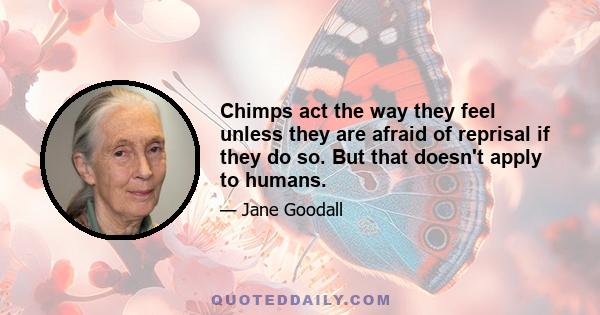 Chimps act the way they feel unless they are afraid of reprisal if they do so. But that doesn't apply to humans.