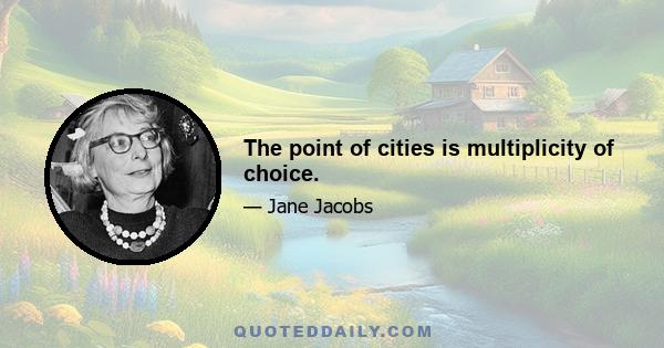 The point of cities is multiplicity of choice.