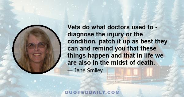 Vets do what doctors used to - diagnose the injury or the condition, patch it up as best they can and remind you that these things happen and that in life we are also in the midst of death.