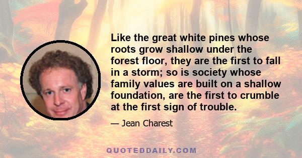 Like the great white pines whose roots grow shallow under the forest floor, they are the first to fall in a storm; so is society whose family values are built on a shallow foundation, are the first to crumble at the