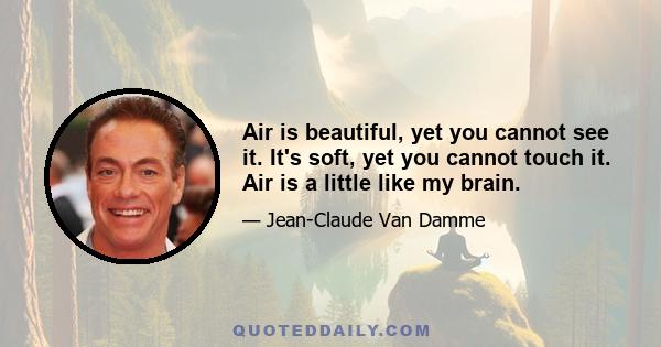 Air is beautiful, yet you cannot see it. It's soft, yet you cannot touch it. Air is a little like my brain.