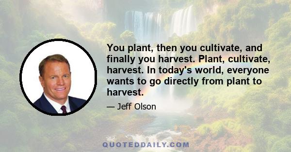 You plant, then you cultivate, and finally you harvest. Plant, cultivate, harvest. In today's world, everyone wants to go directly from plant to harvest.