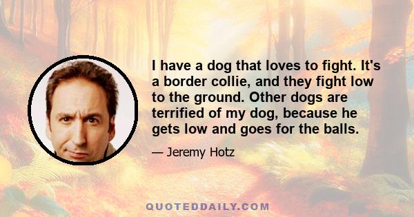 I have a dog that loves to fight. It's a border collie, and they fight low to the ground. Other dogs are terrified of my dog, because he gets low and goes for the balls.
