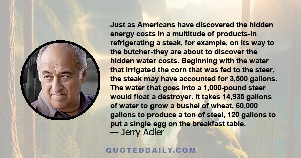 Just as Americans have discovered the hidden energy costs in a multitude of products-in refrigerating a steak, for example, on its way to the butcher-they are about to discover the hidden water costs. Beginning with the 