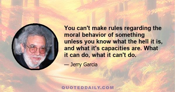 You can't make rules regarding the moral behavior of something unless you know what the hell it is, and what it's capacities are. What it can do, what it can't do.