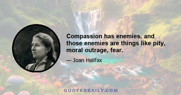 Compassion has enemies, and those enemies are things like pity, moral outrage, fear.