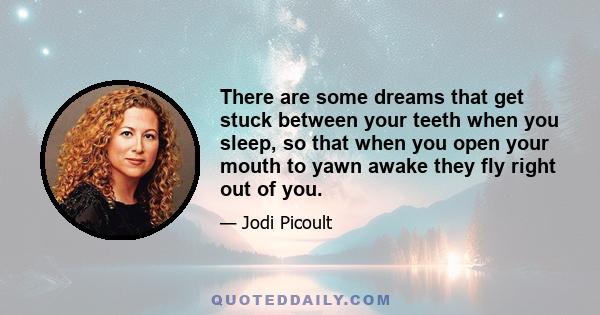 There are some dreams that get stuck between your teeth when you sleep, so that when you open your mouth to yawn awake they fly right out of you.