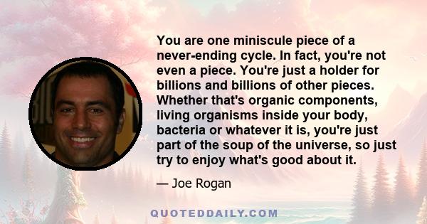 You are one miniscule piece of a never-ending cycle. In fact, you're not even a piece. You're just a holder for billions and billions of other pieces. Whether that's organic components, living organisms inside your