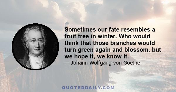 Sometimes our fate resembles a fruit tree in winter. Who would think that those branches would turn green again and blossom, but we hope it, we know it.