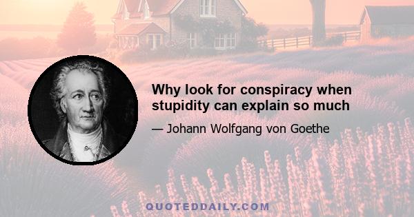 Why look for conspiracy when stupidity can explain so much