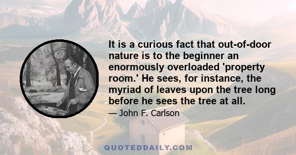 It is a curious fact that out-of-door nature is to the beginner an enormously overloaded 'property room.' He sees, for instance, the myriad of leaves upon the tree long before he sees the tree at all.