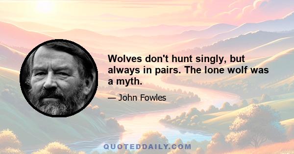 Wolves don't hunt singly, but always in pairs. The lone wolf was a myth.