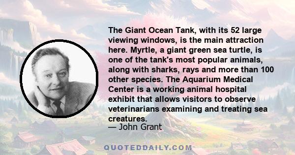 The Giant Ocean Tank, with its 52 large viewing windows, is the main attraction here. Myrtle, a giant green sea turtle, is one of the tank's most popular animals, along with sharks, rays and more than 100 other species. 