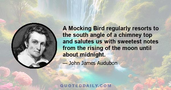 A Mocking Bird regularly resorts to the south angle of a chimney top and salutes us with sweetest notes from the rising of the moon until about midnight.