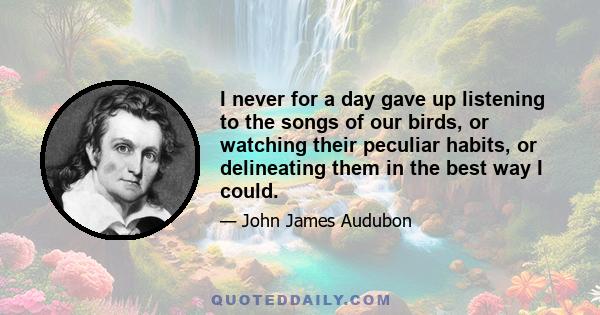 I never for a day gave up listening to the songs of our birds, or watching their peculiar habits, or delineating them in the best way I could.