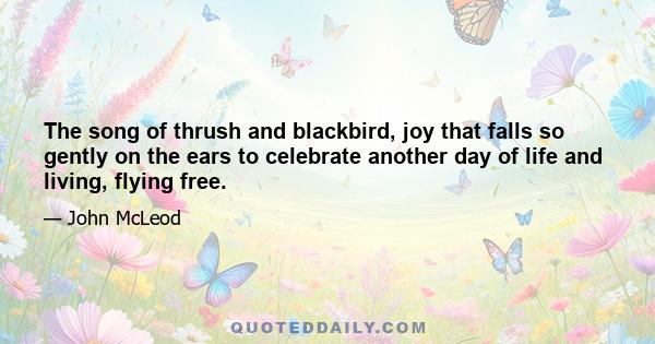 The song of thrush and blackbird, joy that falls so gently on the ears to celebrate another day of life and living, flying free.