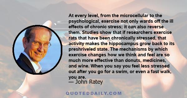 At every level, from the microcellular to the psychological, exercise not only wards off the ill effects of chronic stress; it can also reverse them. Studies show that if researchers exercise rats that have been