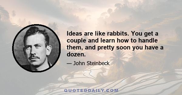 Ideas are like rabbits. You get a couple and learn how to handle them, and pretty soon you have a dozen.