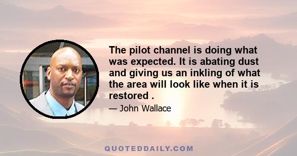 The pilot channel is doing what was expected. It is abating dust and giving us an inkling of what the area will look like when it is restored .