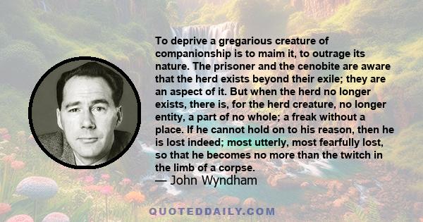 To deprive a gregarious creature of companionship is to maim it, to outrage its nature. The prisoner and the cenobite are aware that the herd exists beyond their exile; they are an aspect of it. But when the herd no