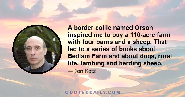 A border collie named Orson inspired me to buy a 110-acre farm with four barns and a sheep. That led to a series of books about Bedlam Farm and about dogs, rural life, lambing and herding sheep.