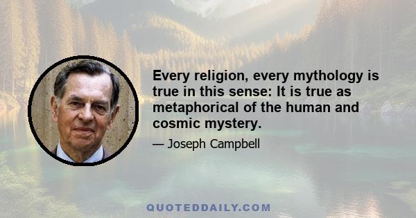 Every religion, every mythology is true in this sense: It is true as metaphorical of the human and cosmic mystery.