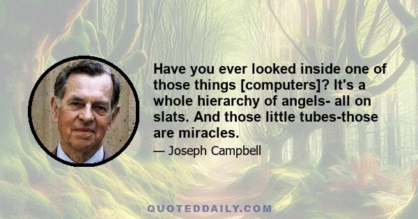 Have you ever looked inside one of those things [computers]? It's a whole hierarchy of angels- all on slats. And those little tubes-those are miracles.